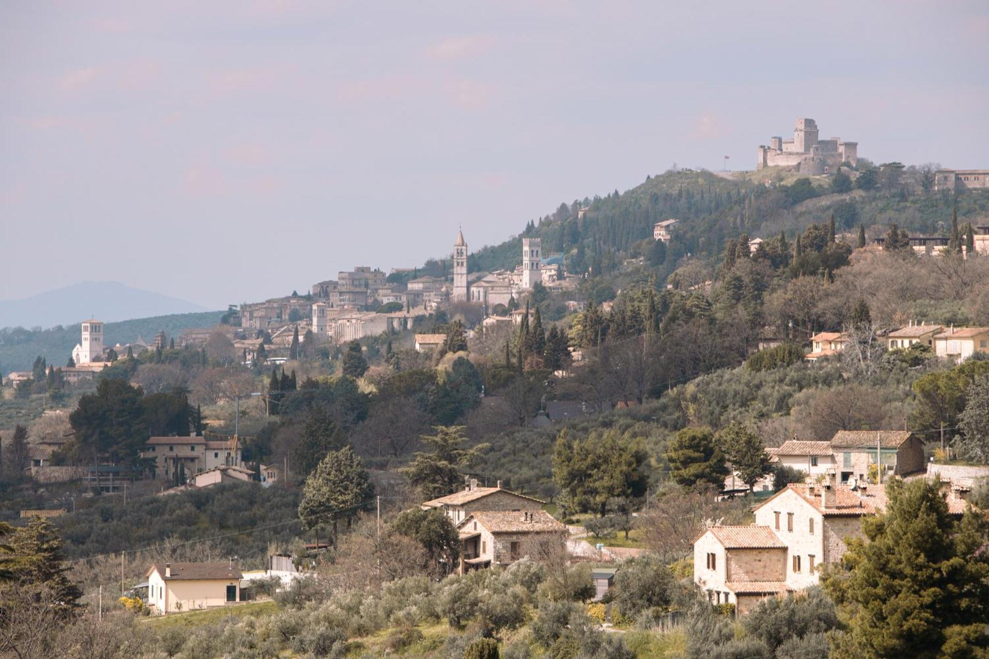 La Meridiana San Vitale